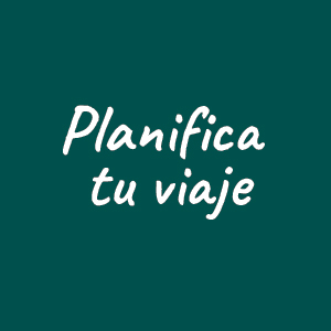 Planifica tu viaje