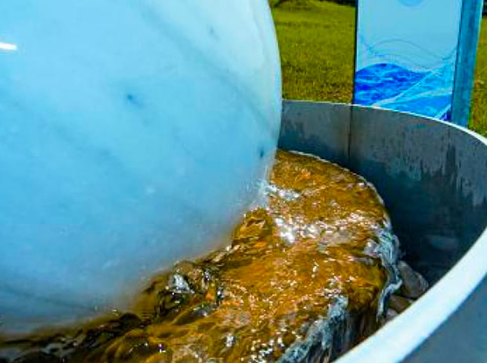 Parque Aresketamendi